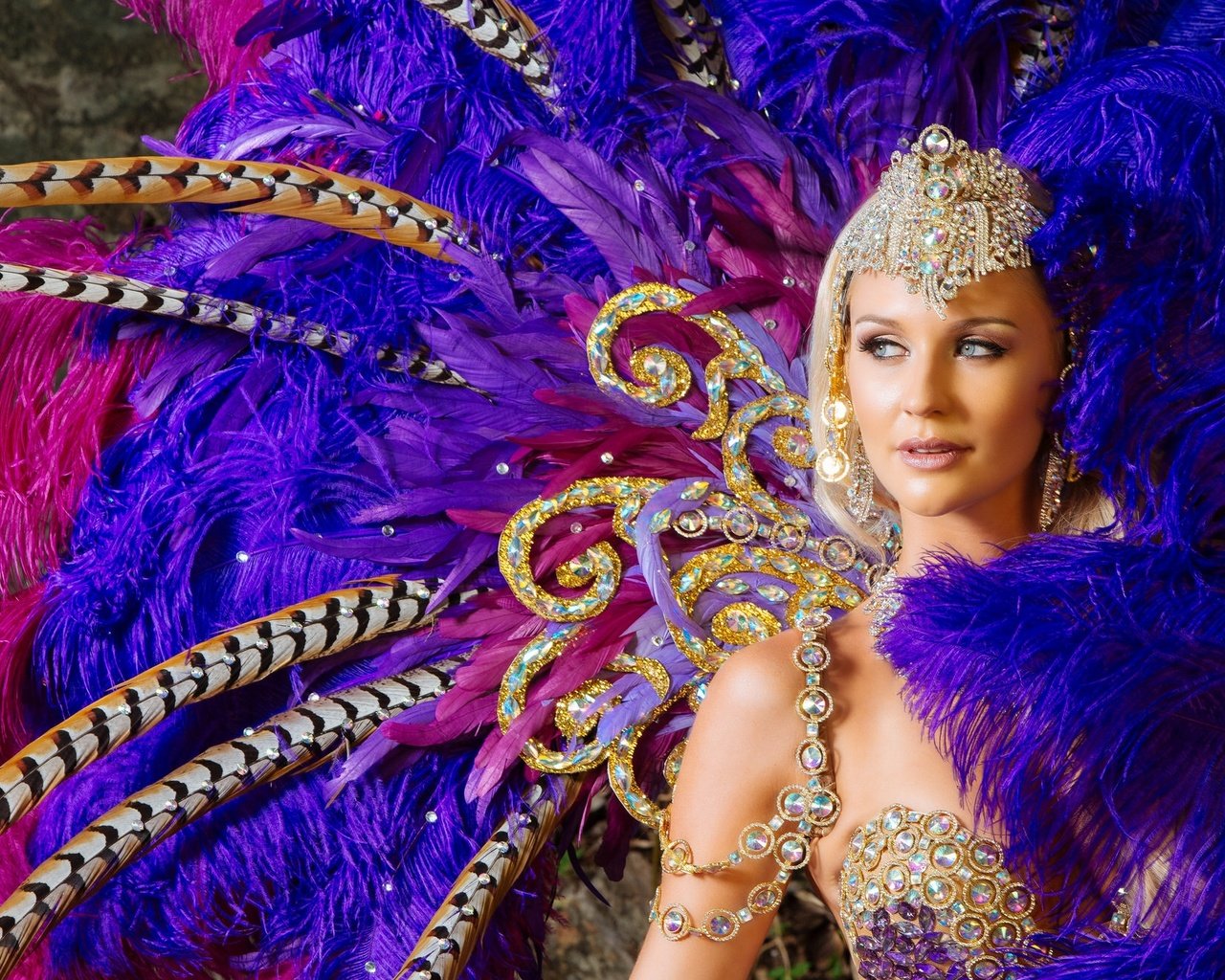Обои украшения, девушка, перья, наряд, карнавал, decoration, girl, feathers, outfit, carnival разрешение 2048x1315 Загрузить