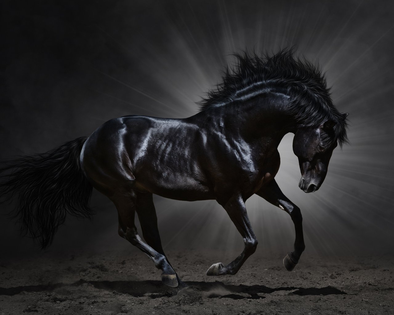 Обои лошадь, вороной, черный, темный фон, животное, конь, грива, бег, копыта, мустанг, mustang, horse, crow, black, the dark background, animal, mane, running, hooves разрешение 5944x3914 Загрузить