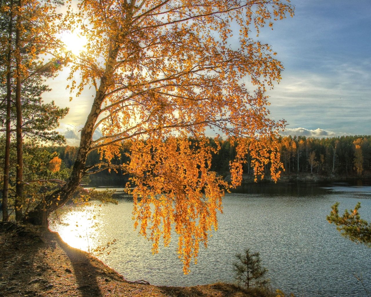 Обои свет, река, солнце, осень, береза, light, river, the sun, autumn, birch разрешение 2200x1450 Загрузить