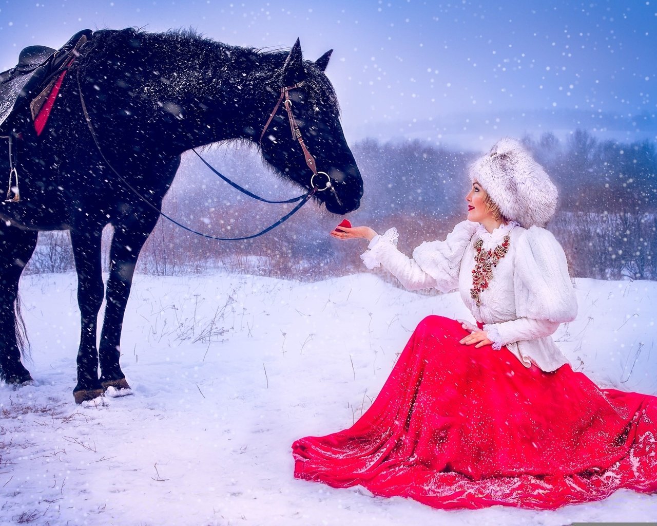 Обои лошадь, снег, девушка, платье, шапка, яблоко, horse, snow, girl, dress, hat, apple разрешение 1920x1208 Загрузить