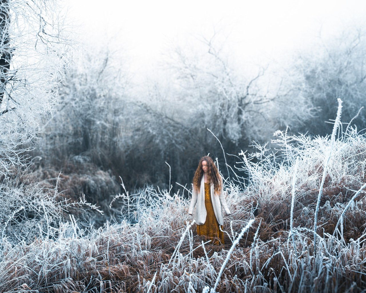 Обои трава, снег, лес, девушка, настроение, иней, длинные волосы, lizzy gadd, winter frost, grass, snow, forest, girl, mood, frost, long hair разрешение 2048x1368 Загрузить