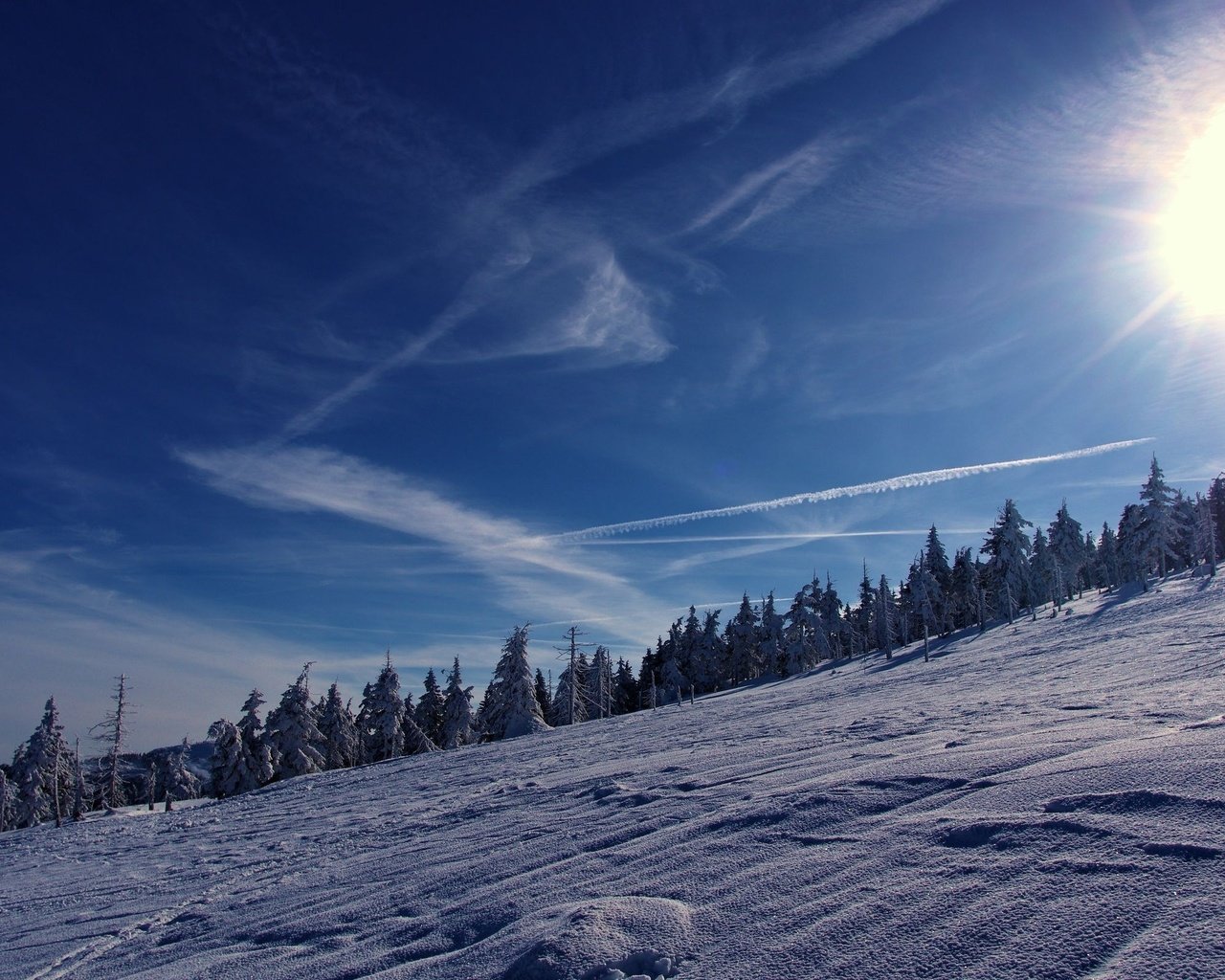 Обои небо, деревья, горы, солнце, снег, зима, the sky, trees, mountains, the sun, snow, winter разрешение 2560x1600 Загрузить