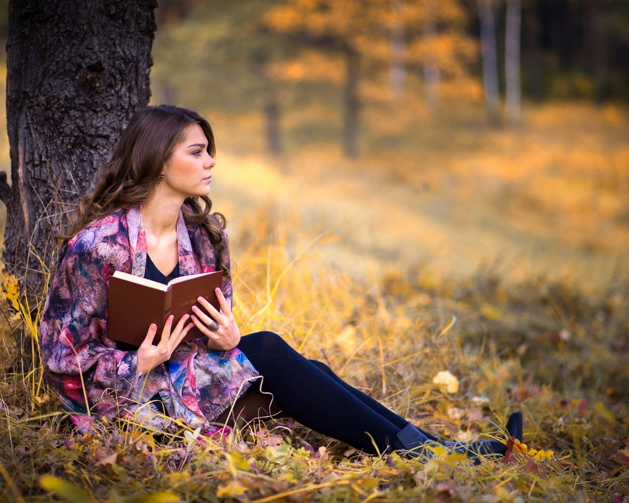 Обои дерево, девушка, осень, книга, задумчивость, tree, girl, autumn, book, reverie разрешение 2000x1335 Загрузить