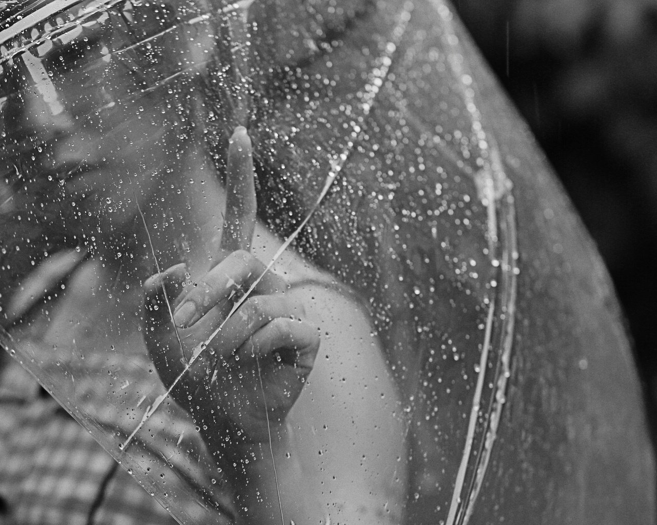 Обои рука, девушка, палец, капли, дождь, зонтик, hand, girl, finger, drops, rain, umbrella разрешение 2048x1365 Загрузить