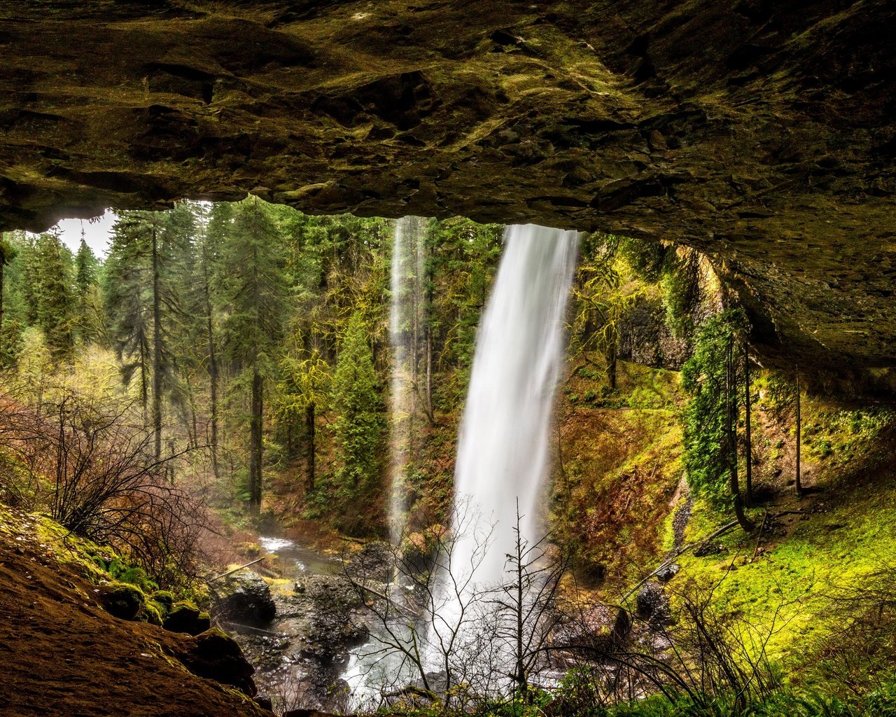 Обои деревья, камни, лес, скала, ручей, водопад, сша, silver falls state park, trees, stones, forest, rock, stream, waterfall, usa разрешение 2880x1923 Загрузить