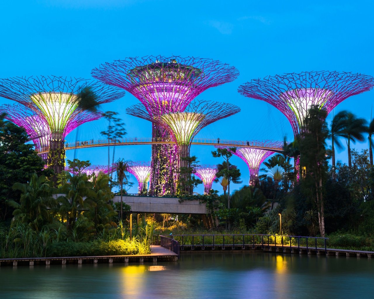 Обои деревья, сингапур, вечер, gardens by the bay, дизайн, парк, иллюминация, пальмы, пруд, строение, trees, singapore, the evening, design, park, illumination, palm trees, pond, structure разрешение 2880x1920 Загрузить