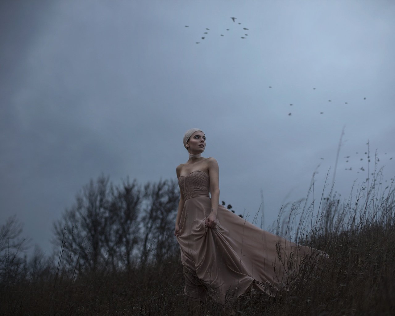 Обои девушка, платье, птицы, ветер, aleah michele, the side of a dying hill, girl, dress, birds, the wind разрешение 2048x1365 Загрузить