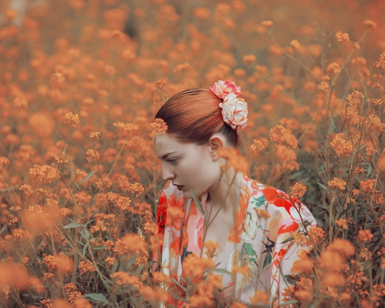 Обои цветы, природа, девушка, профиль, рыжеволосая, flowers, nature, girl, profile, redhead разрешение 2048x1365 Загрузить