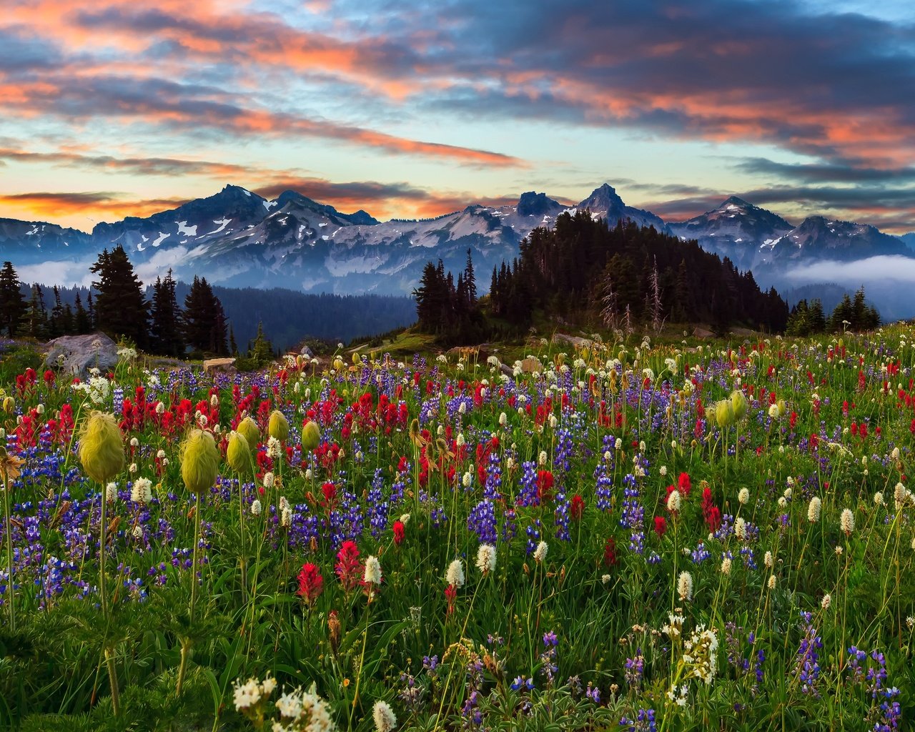 Обои небо, цветы, облака, деревья, горы, природа, закат, пейзаж, the sky, flowers, clouds, trees, mountains, nature, sunset, landscape разрешение 4501x2885 Загрузить