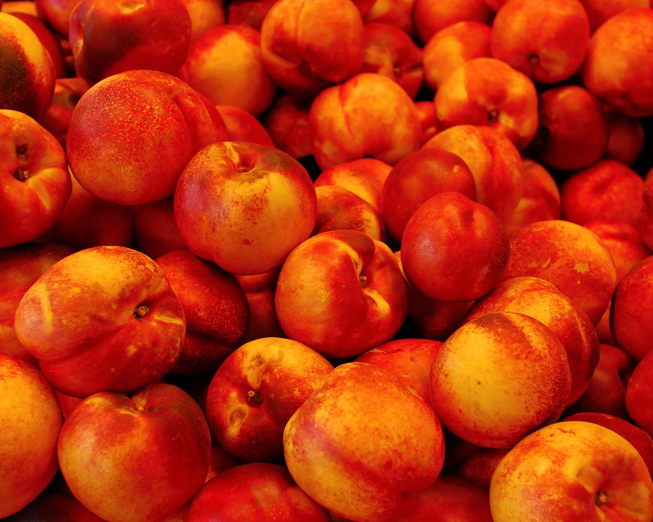 Обои фрукты, нектарин, нектарины, fruit, nectarine, nectarines разрешение 2560x1600 Загрузить