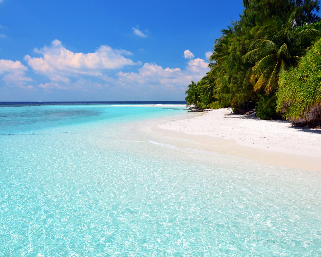 Обои море, пляж, отдых, остров, тропики, мальдивы, sea, beach, stay, island, tropics, the maldives разрешение 4714x2974 Загрузить