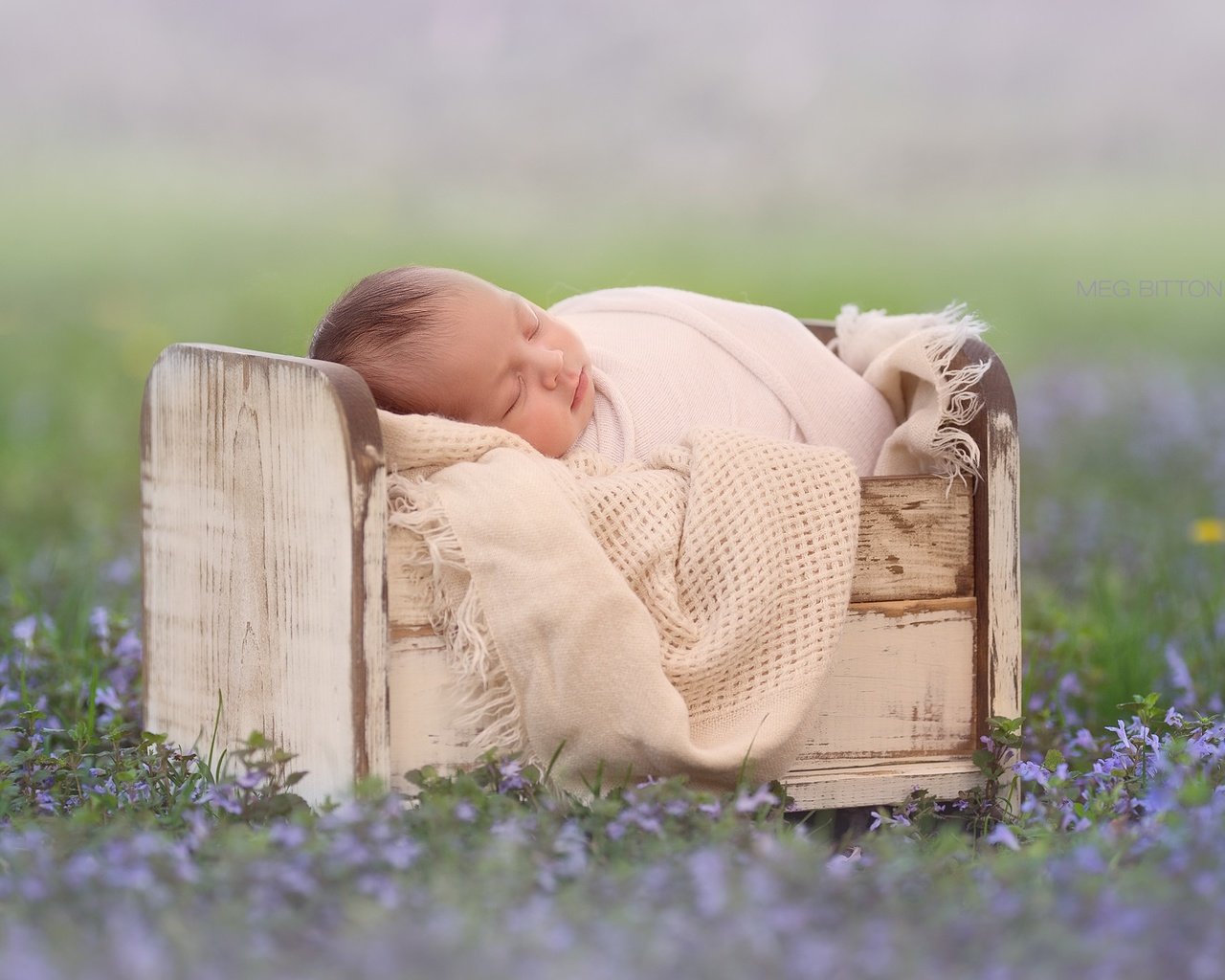 Обои цветы, сон, дети, младенец, боке, спящий, кроватка, flowers, sleep, children, baby, bokeh, cot разрешение 2048x1365 Загрузить