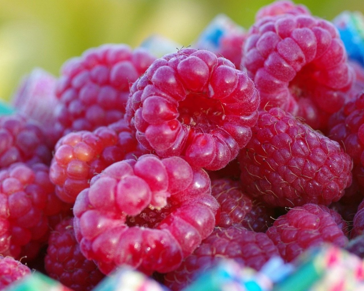 Обои малина, ягода, ягоды, крупным планом, raspberry, berry, berries, closeup разрешение 1920x1080 Загрузить