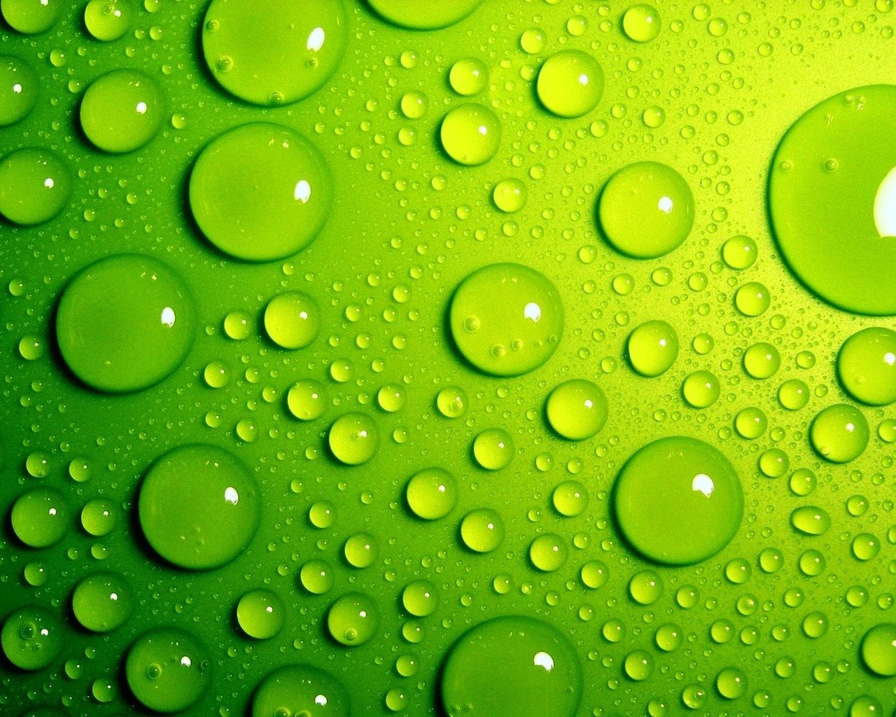 Обои зелёный, фон, капли, цвет, капли воды, green, background, drops, color, water drops разрешение 1920x1200 Загрузить