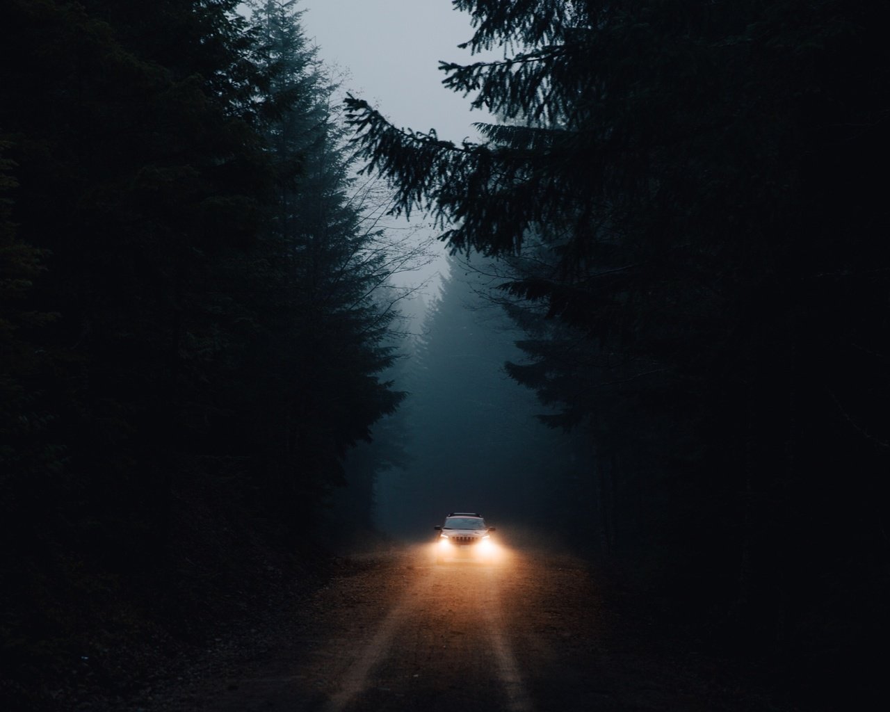 Ночная дорога в лесу