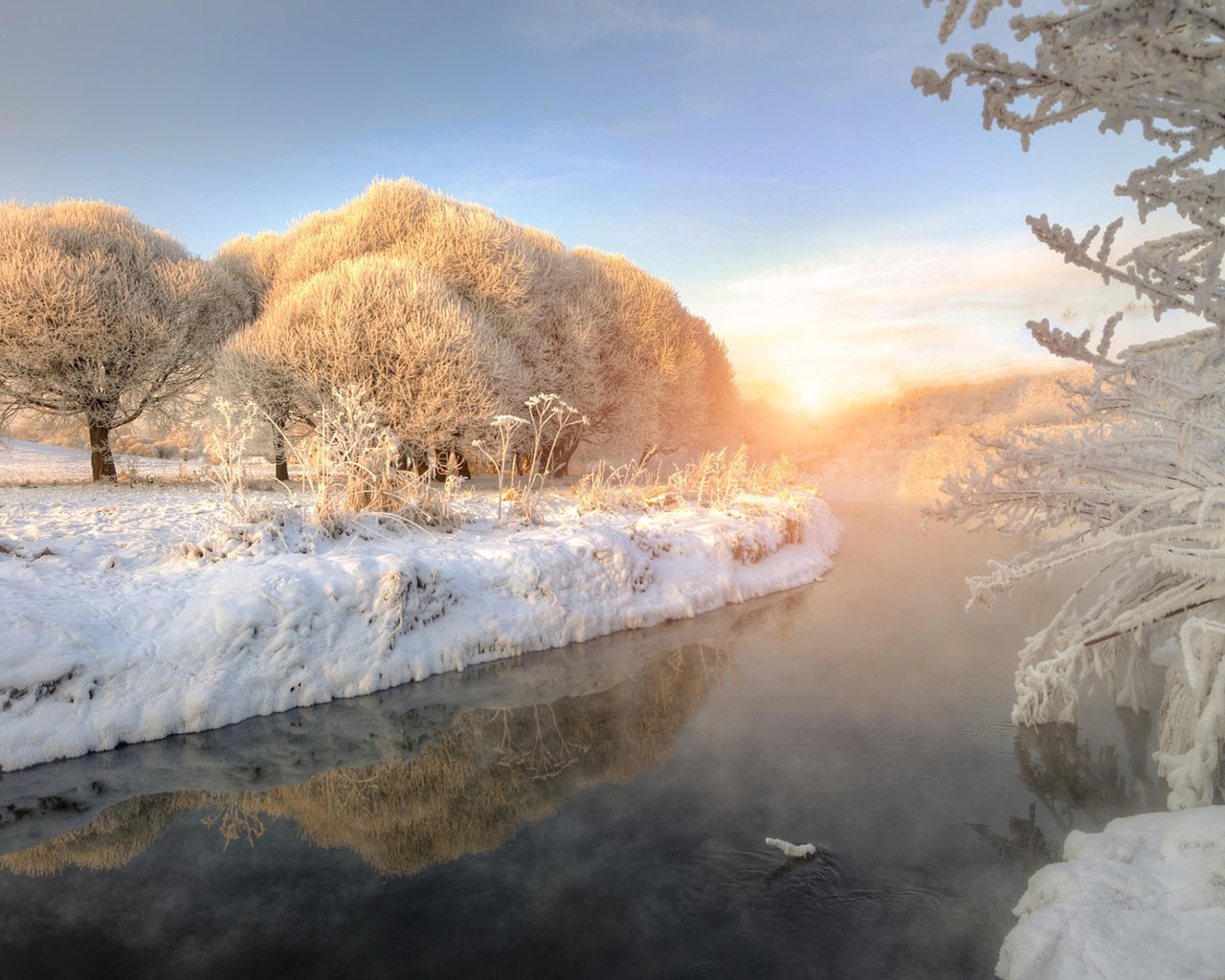 Обои деревья, река, природа, зима, утро, иней, trees, river, nature, winter, morning, frost разрешение 1920x1200 Загрузить