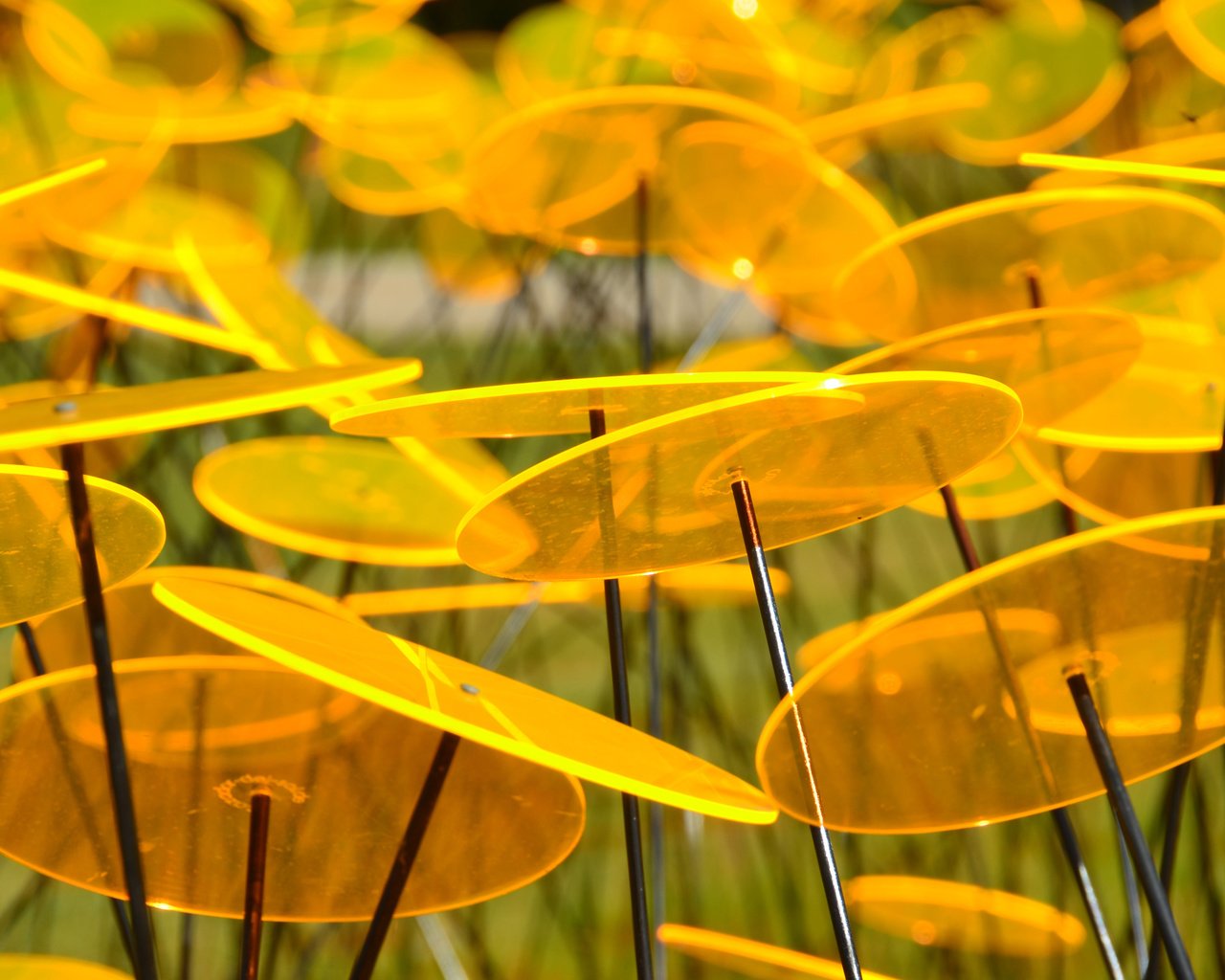 Обои желтый, сад, пластины, круг, диск, скульптура, yellow, garden, plate, round, disk, sculpture разрешение 3840x2400 Загрузить