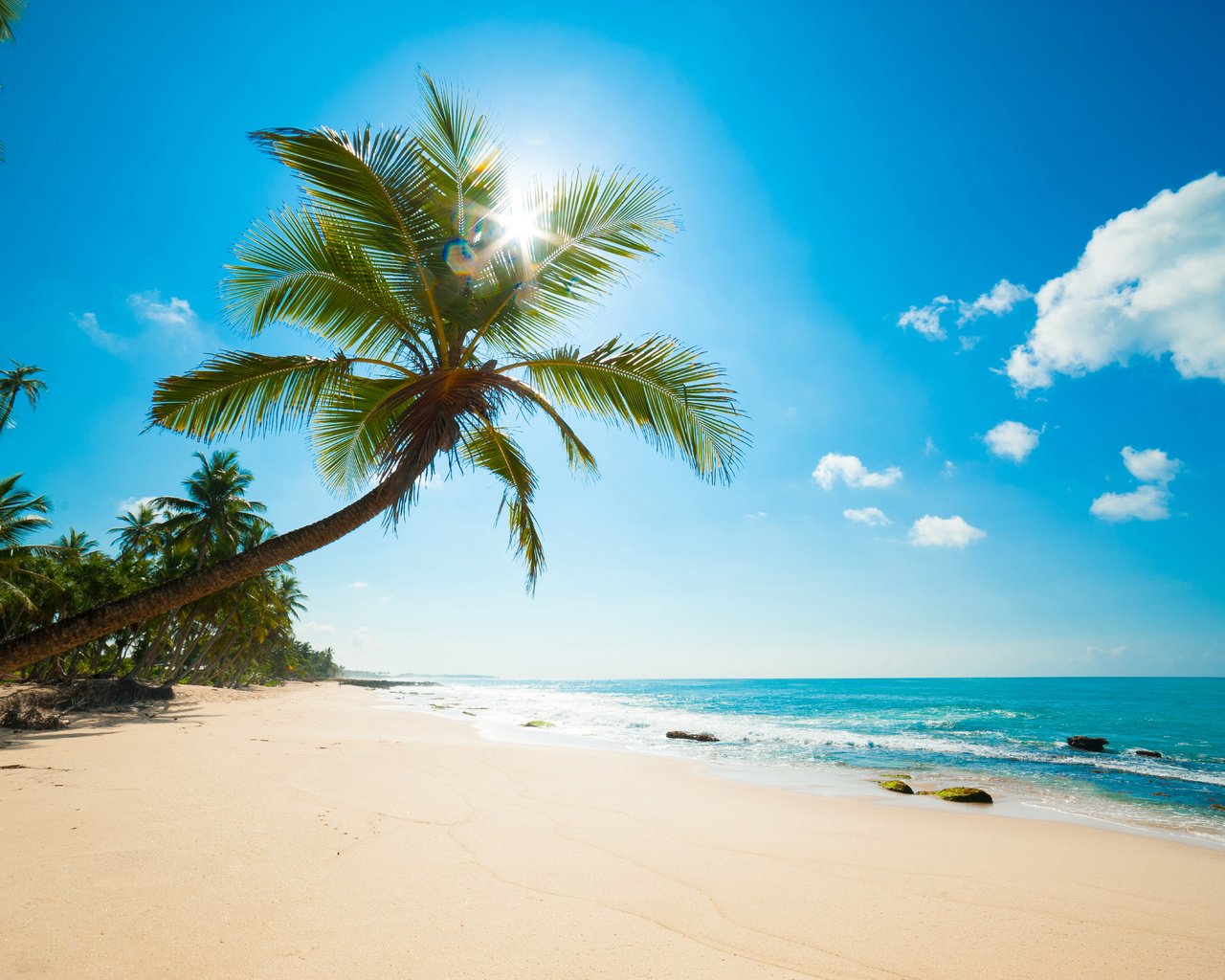 Обои море, пляж, тропики, карибы, sea, beach, tropics, caribbean разрешение 8512x5664 Загрузить