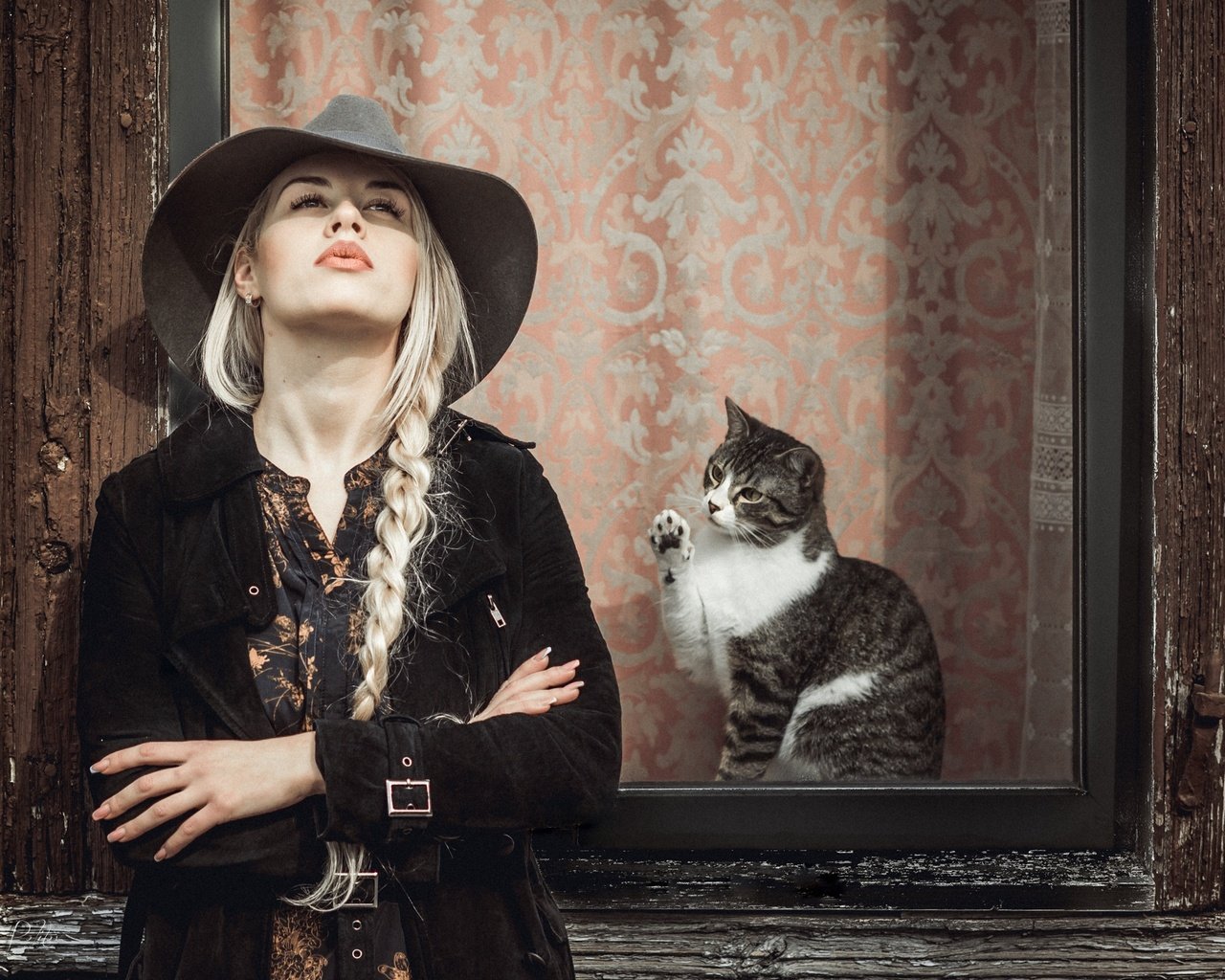 Обои девушка, поза, блондинка, кошка, окно, коса, шляпа, girl, pose, blonde, cat, window, braid, hat разрешение 2048x1390 Загрузить