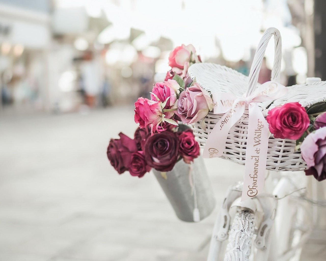 Обои цветы, розы, улица, велосипед, flowers, roses, street, bike разрешение 1920x1080 Загрузить