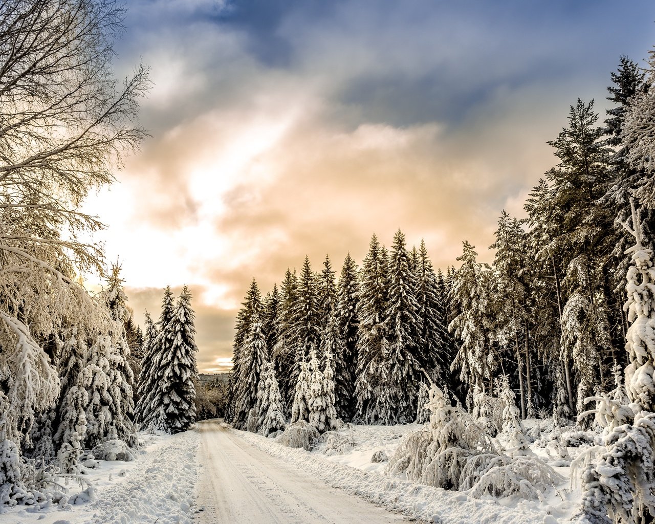 Обои облака, деревья, снег, лес, зима, clouds, trees, snow, forest, winter разрешение 3000x2250 Загрузить