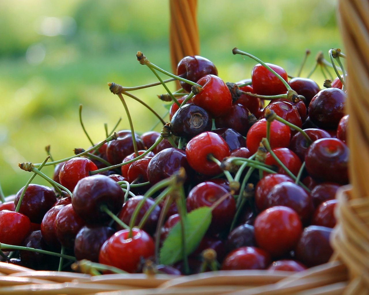 Обои фон, черешня, ягоды, вишня, корзинка, лукошко, background, cherry, berries, basket разрешение 3272x1841 Загрузить