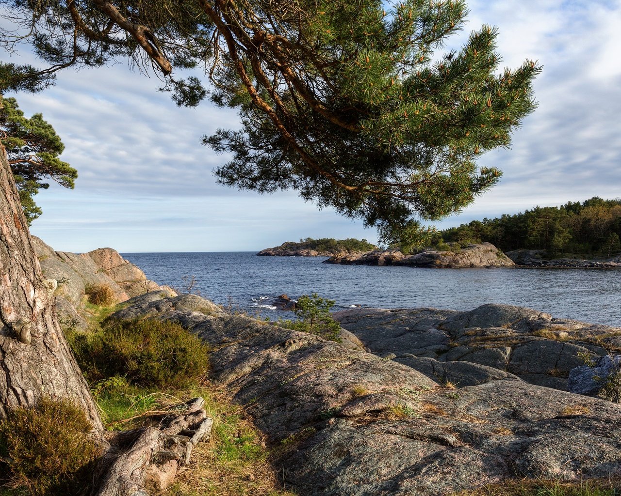 Обои небо, облака, дерево, камни, берег, море, the sky, clouds, tree, stones, shore, sea разрешение 2048x1366 Загрузить