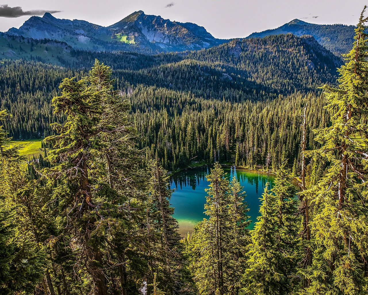 Обои деревья, озеро, горы, лес, канада, mt. rainier national park, trees, lake, mountains, forest, canada разрешение 3005x2000 Загрузить