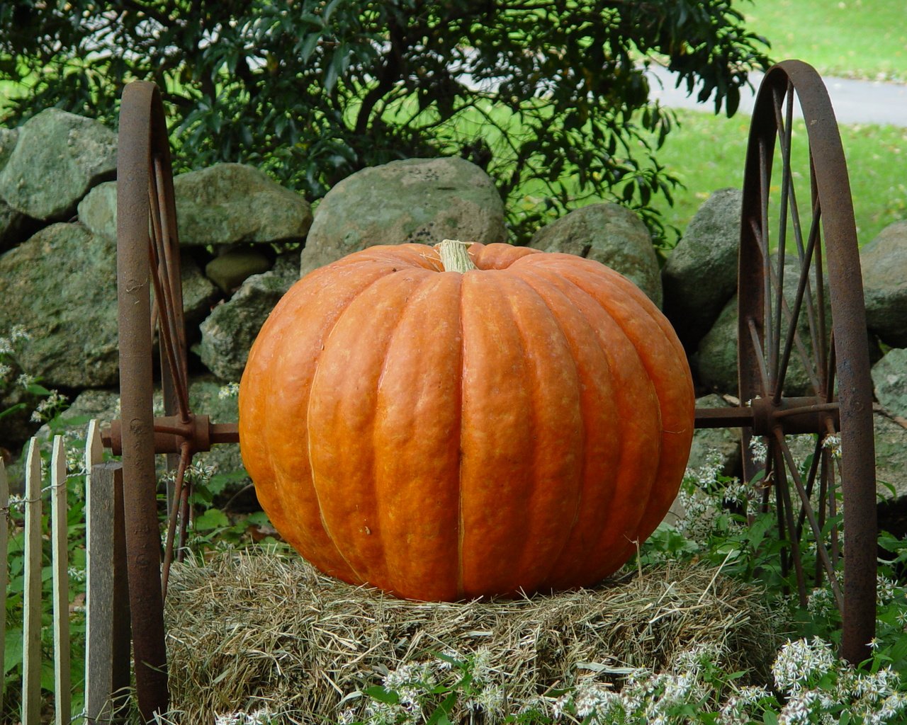 Обои камни, колеса, урожай, овощи, тыква, stones, wheel, harvest, vegetables, pumpkin разрешение 2560x1920 Загрузить