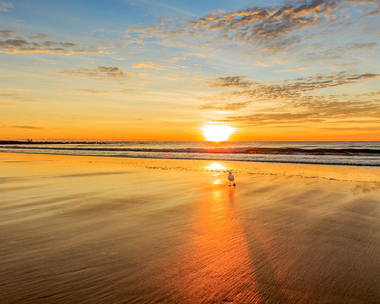 Обои закат, море, пляж, чайка, 14, sunset, sea, beach, seagull разрешение 5426x3593 Загрузить