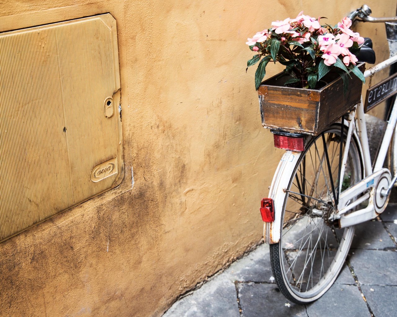 Обои цветы, велосипед, ящик, flowers, bike, box разрешение 5472x3648 Загрузить