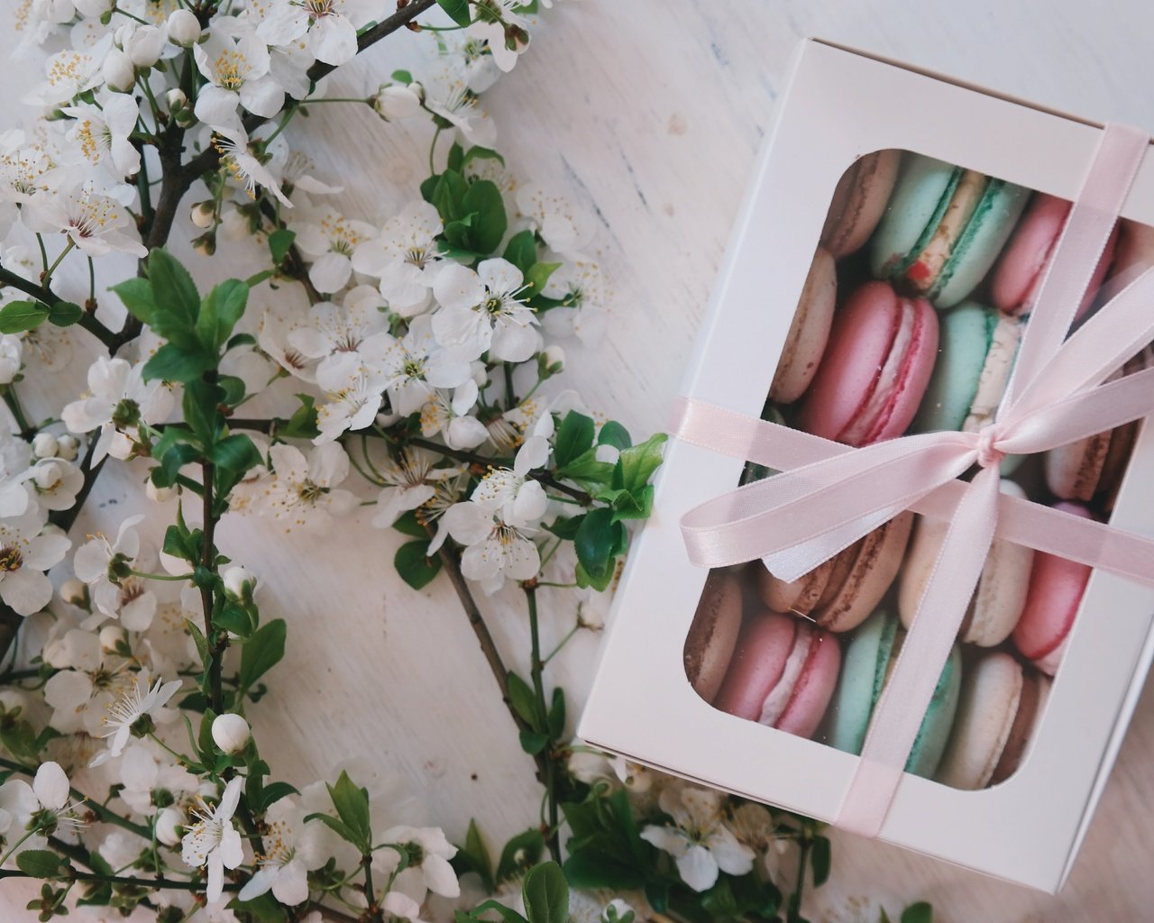 Обои цветы, подарок, коробка, макаруны, flowers, gift, box, macaroon разрешение 5472x3648 Загрузить