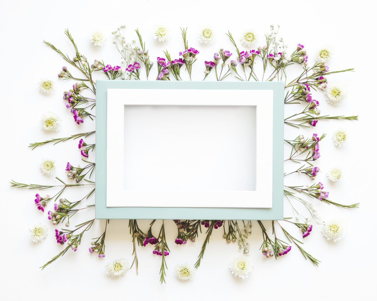 Обои цветы, лепестки, рамка, кадр,  цветы, декорация, декор, flowers, petals, frame, decoration, decor разрешение 5050x3367 Загрузить