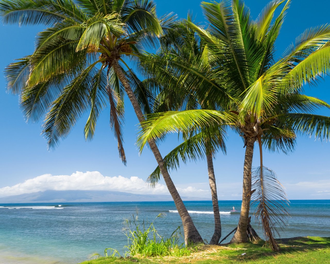 Обои солнце, море, побережье, пальмы, сша, тропики, гавайи, the sun, sea, coast, palm trees, usa, tropics, hawaii разрешение 5760x3840 Загрузить