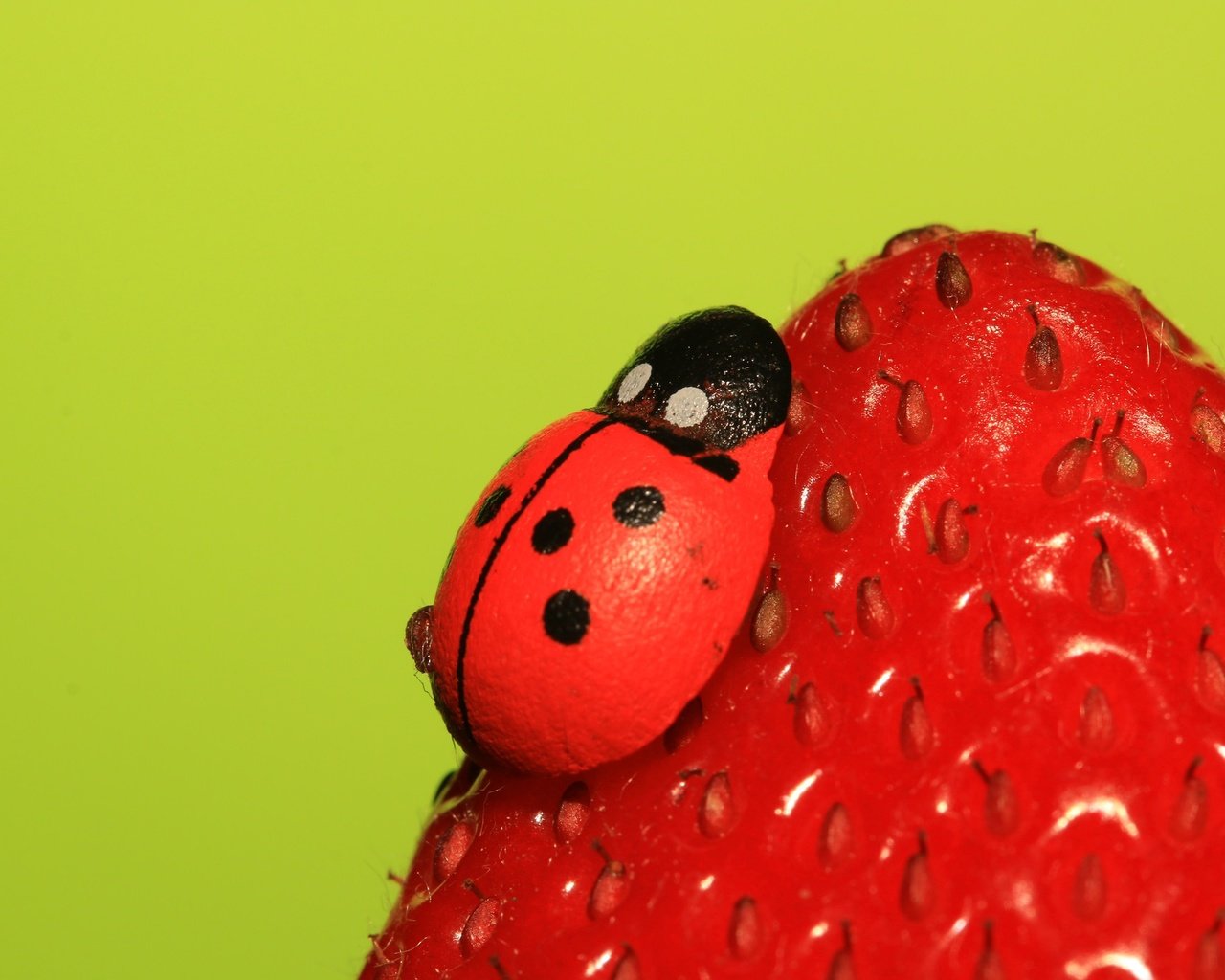 Обои насекомое, ягода, клубника, божья коровка, insect, berry, strawberry, ladybug разрешение 2048x1365 Загрузить