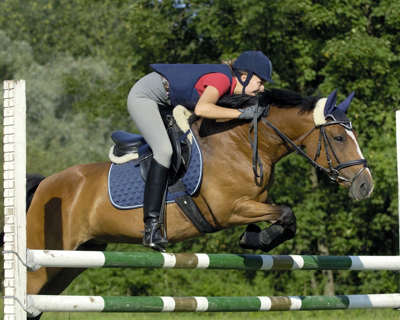 Обои лошадь, девушка, прыжок, спорт, униформа, конь, барьер, horse, girl, jump, sport, uniform, barrier разрешение 2700x1800 Загрузить