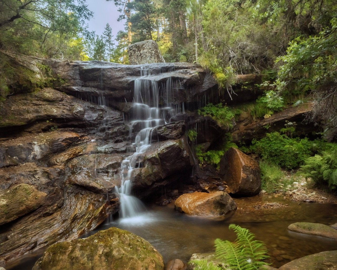 Обои вода, природа, камни, растения, водопад, water, nature, stones, plants, waterfall разрешение 2048x1536 Загрузить