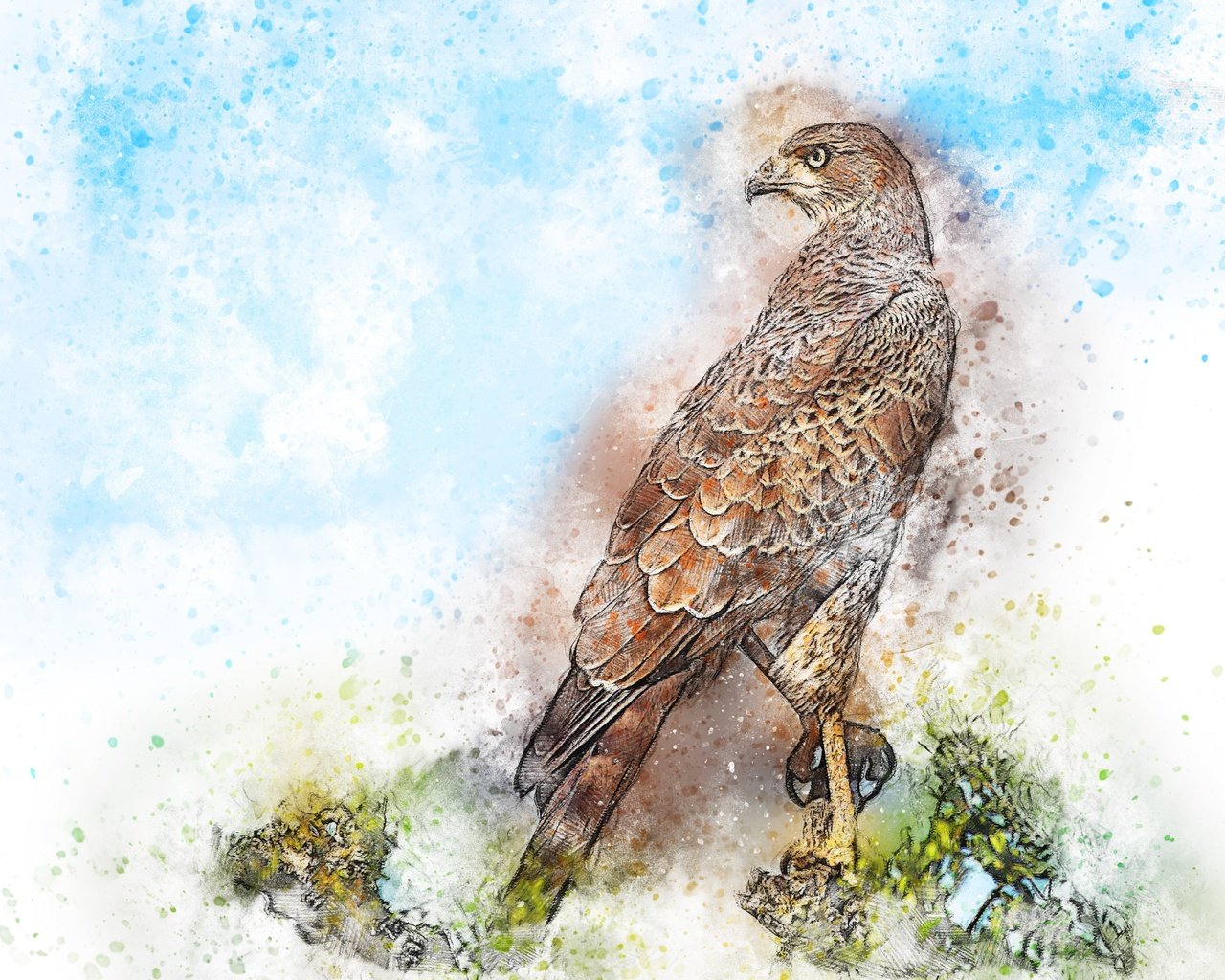 Обои картина, сидит, птица, акварель, сокол, picture, sitting, bird, watercolor, falcon разрешение 3000x2250 Загрузить