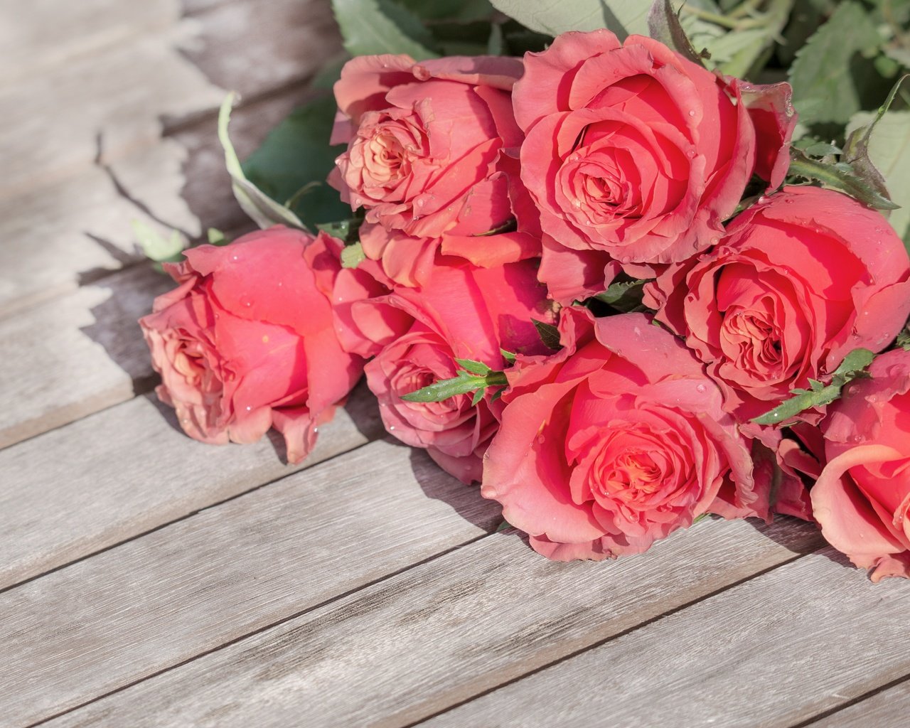 Обои цветы, бутоны, розы, лепестки, букет, flowers, buds, roses, petals, bouquet разрешение 4739x3159 Загрузить