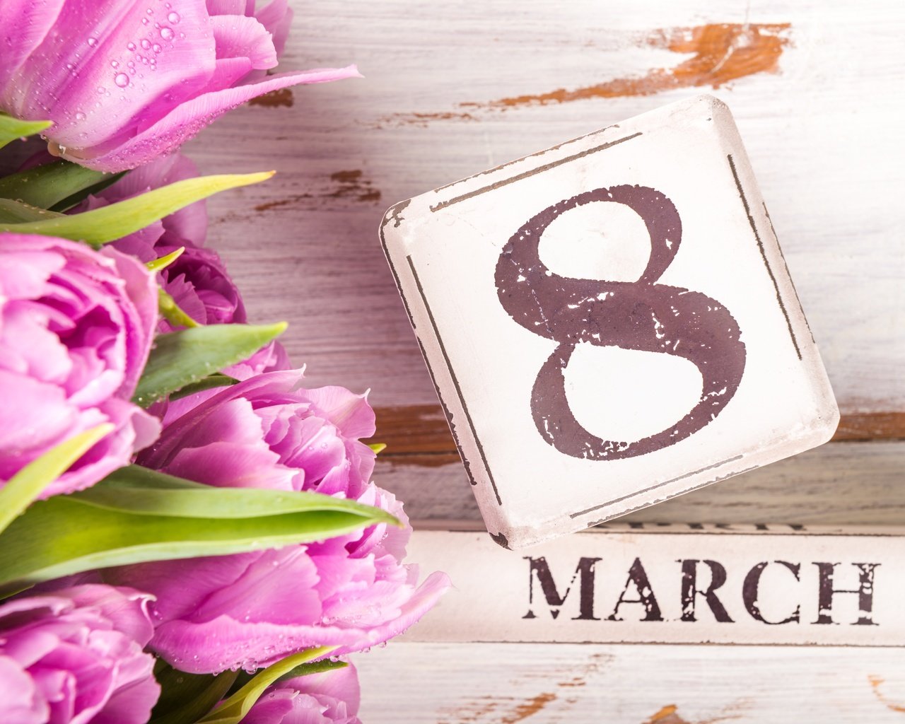Обои тюльпаны, розовые, 8 марта, tulips, pink, march 8 разрешение 6016x4016 Загрузить