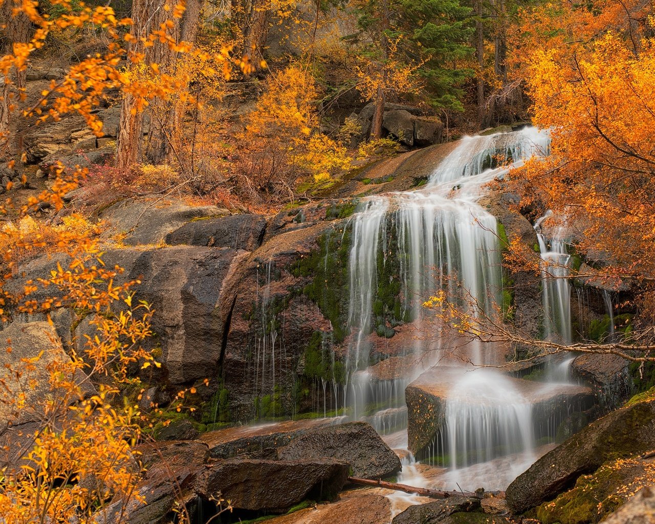 Обои деревья, скала, водопад, осень, калифорния, каскад, eastern sierra, trees, rock, waterfall, autumn, ca, cascade разрешение 2000x1292 Загрузить