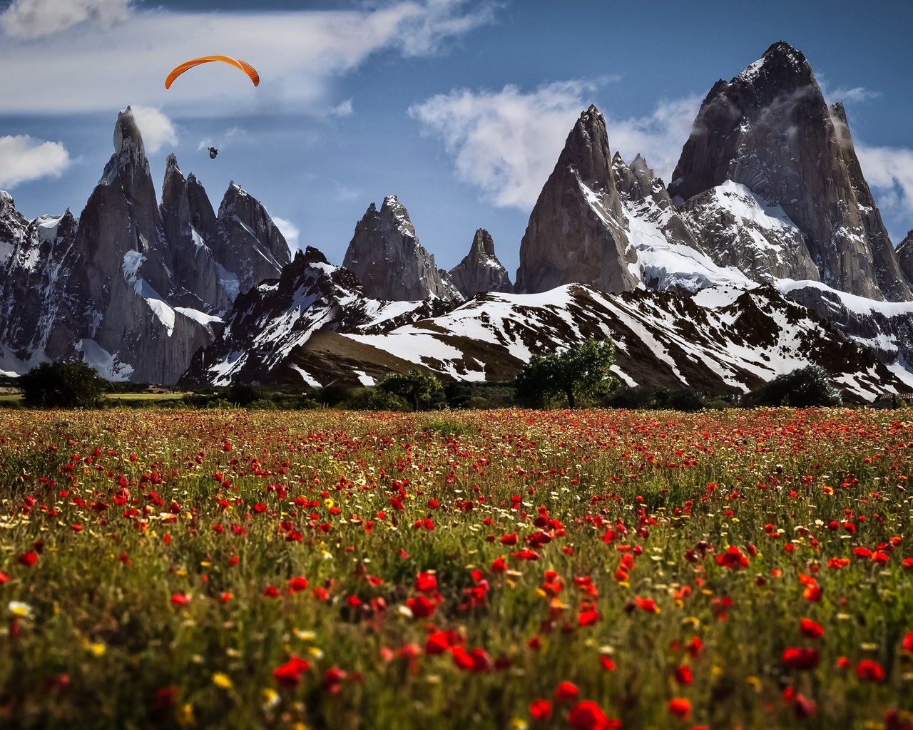 Обои цветы, горы, швейцария, маки, луга, парапланерист, flowers, mountains, switzerland, maki, meadows, paraglider разрешение 3840x2160 Загрузить