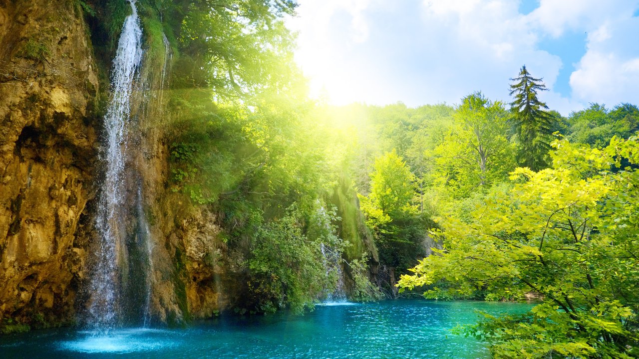 Обои деревья, солнце, водопад, trees, the sun, waterfall разрешение 2560x1600 Загрузить