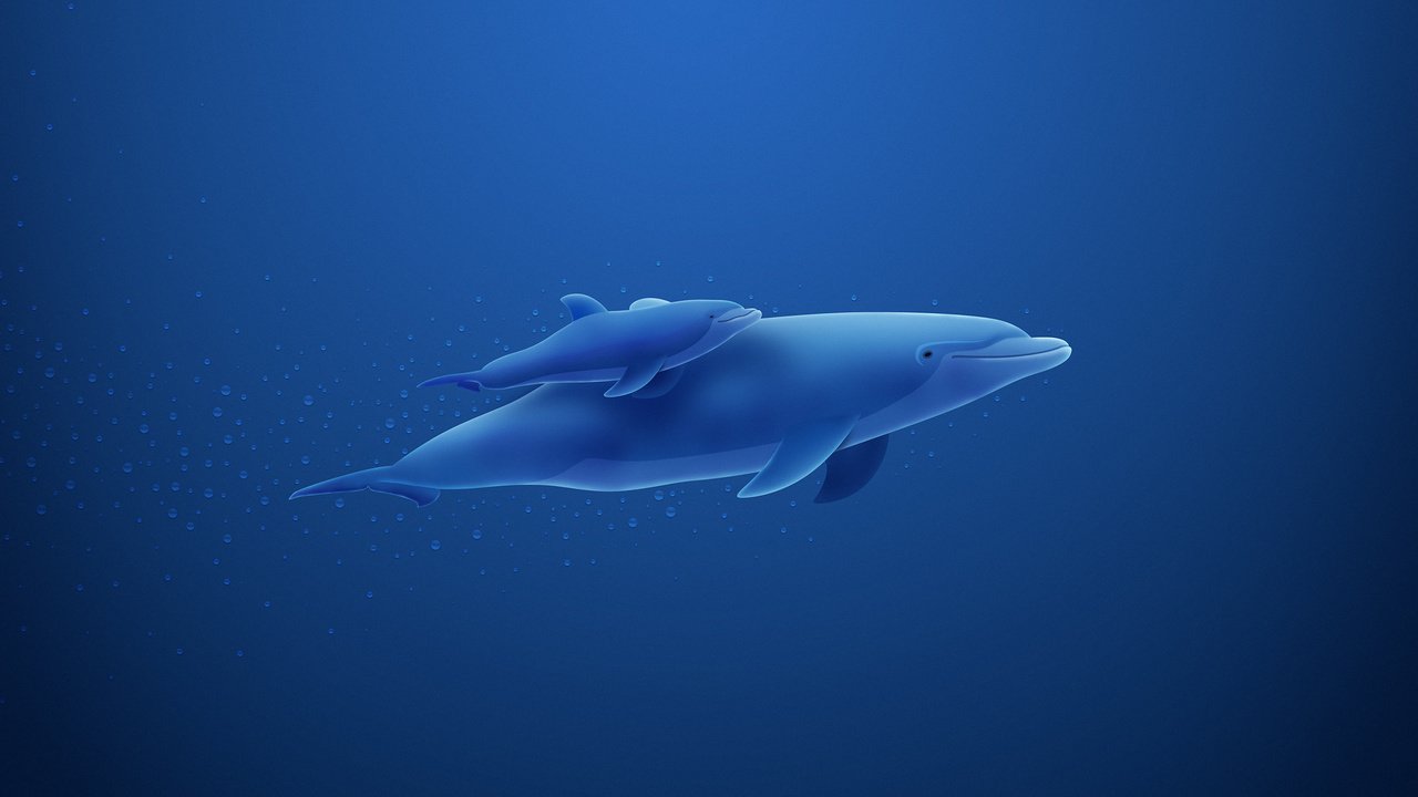 Обои синий, пузыри, дельфин, blue, bubbles, dolphin разрешение 2560x1600 Загрузить