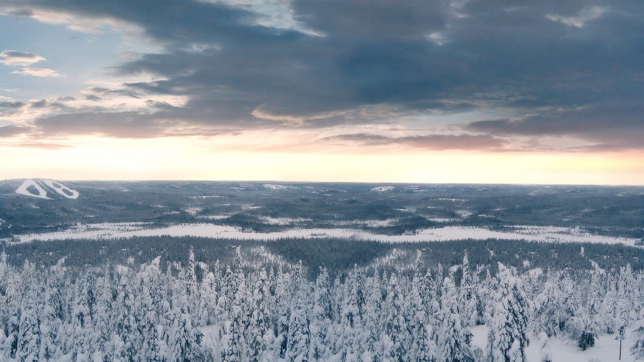 Обои облака, деревья, снег, лес, зима, clouds, trees, snow, forest, winter разрешение 1920x1200 Загрузить