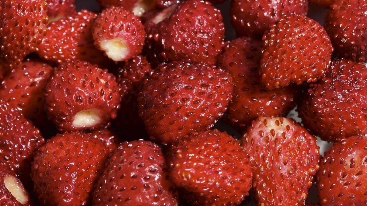 Обои клубника, красный, ягоды, земляника, strawberry, red, berries, strawberries разрешение 1920x1200 Загрузить