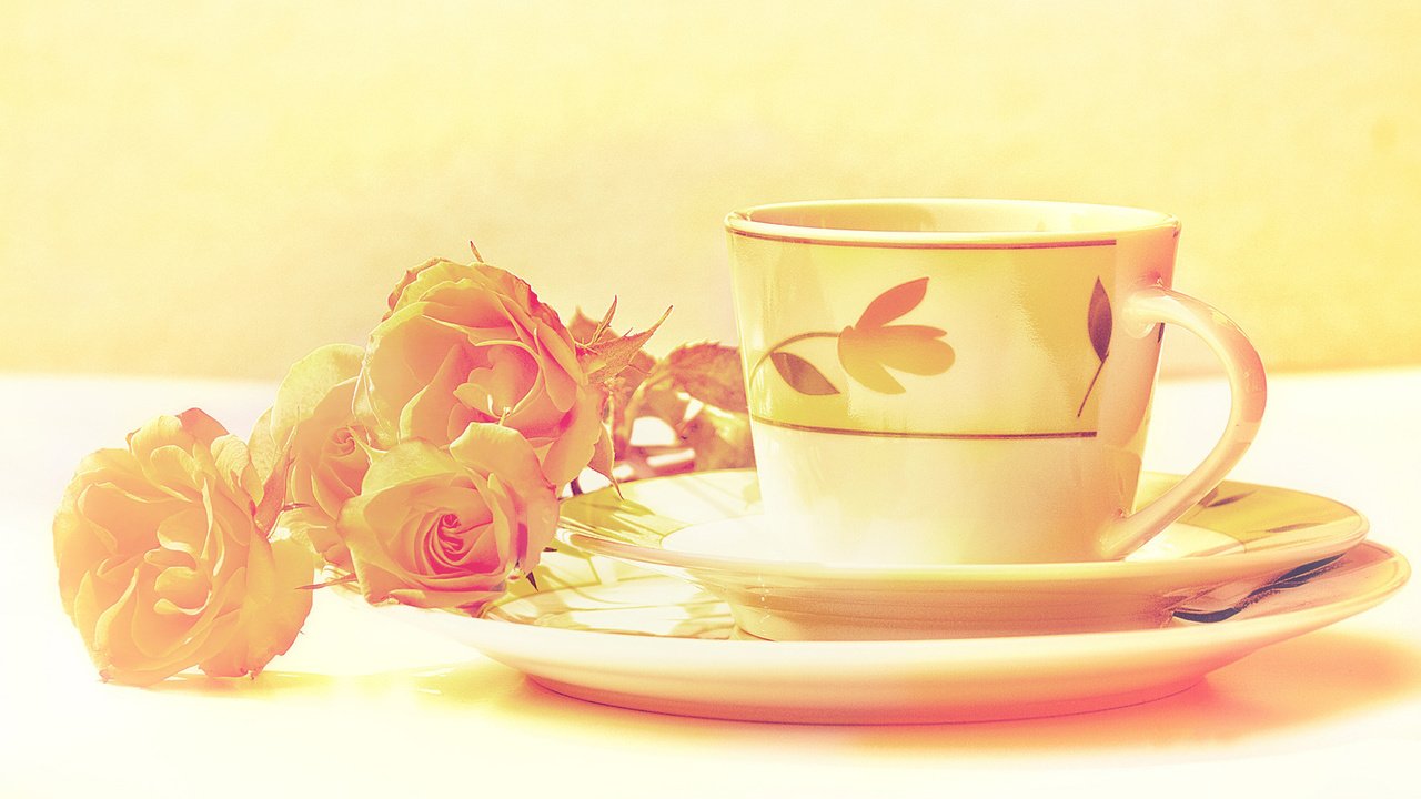 Обои цветы, натюрморт, цвета, сервиз, розы, обработка, блюдце, чашка, чай, изображение, flowers, still life, color, set, roses, treatment, saucer, cup, tea, image разрешение 1920x1200 Загрузить