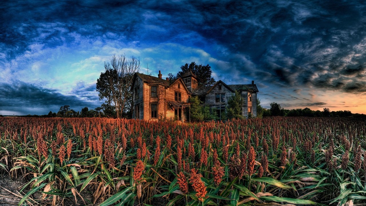 Обои облака, поле, дом, развалены, clouds, field, house, collapsed разрешение 2560x1600 Загрузить