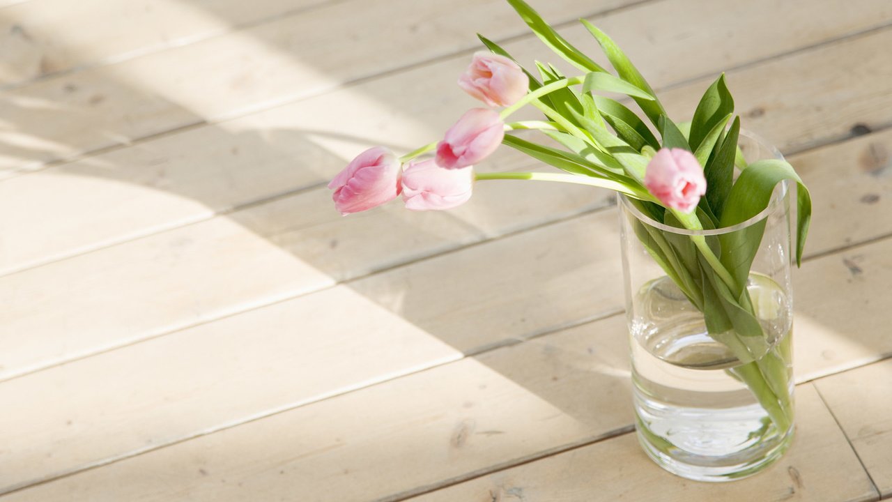 Обои цветы, букет, тюльпаны, розовые, тюльпан, ваза, flowers, bouquet, tulips, pink, tulip, vase разрешение 1920x1200 Загрузить