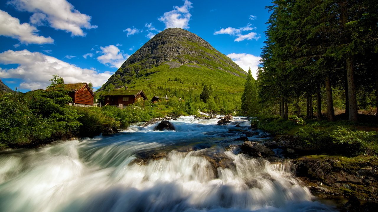 Обои деревья, река, лес, пейзаж, гора, поток, норвегия, trees, river, forest, landscape, mountain, stream, norway разрешение 2560x1600 Загрузить